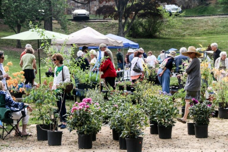 Montreat Minute 5/3/24 Town Of Montreat