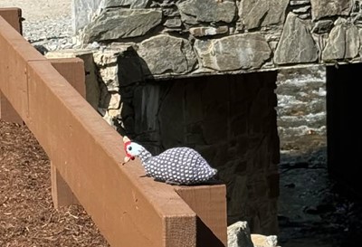 A small, black-and-white spotted stuffed bird with a red beak is perched on a brown wooden railing near a stone bridge and a shallow stream.