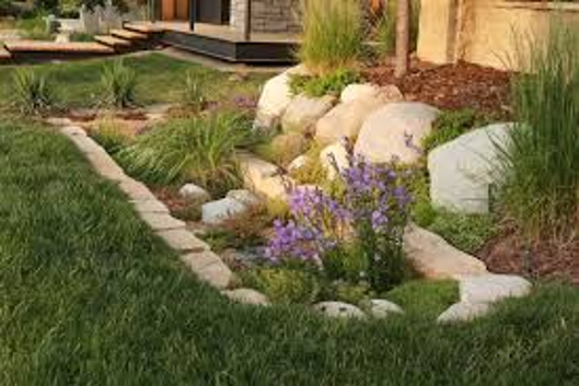 A landscaped garden with green grass, stone edging, large white rocks, ornamental grasses, and clusters of purple flowers near a house.