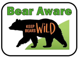 Silhouette of a bear with the words “KEEP BEARS WILD” inside. Above, “Bear Aware” is written in green. Background has a green shape. The image promotes awareness about protecting wild bears.