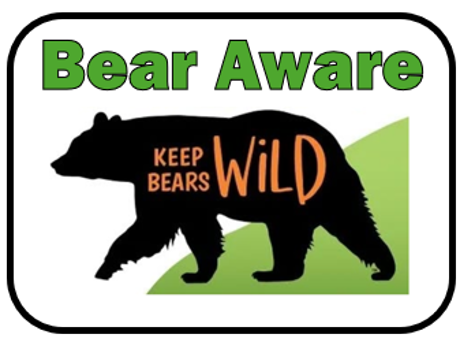 Silhouette of a bear with the words “KEEP BEARS WILD” inside. Above, “Bear Aware” is written in green. Background has a green shape. The image promotes awareness about protecting wild bears.