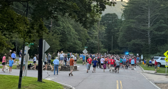 A large crowd of people, some with dogs, walk along a tree-lined road at dusk. Many wear bright clothes; emergency vehicle lights flash in the background. White vans and road signs are visible near the gathering.