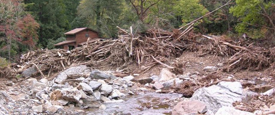 A house sits behind a mound of fallen trees and debris near a rocky stream, surrounded by forest, indicating recent flood or storm damage.