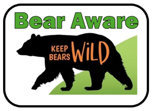 Silhouette of a bear with the text KEEP BEARS WILD inside. Above, Bear Aware is written in large green letters. The background is white with a green shape behind the bear.
